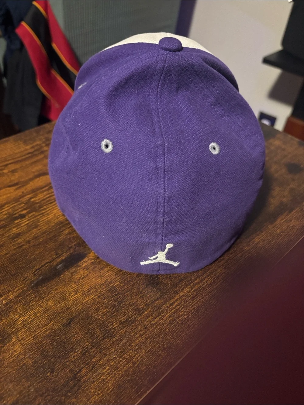 Jordan Charlotte Hornets Panel Cap in Purple, Cream & Gray